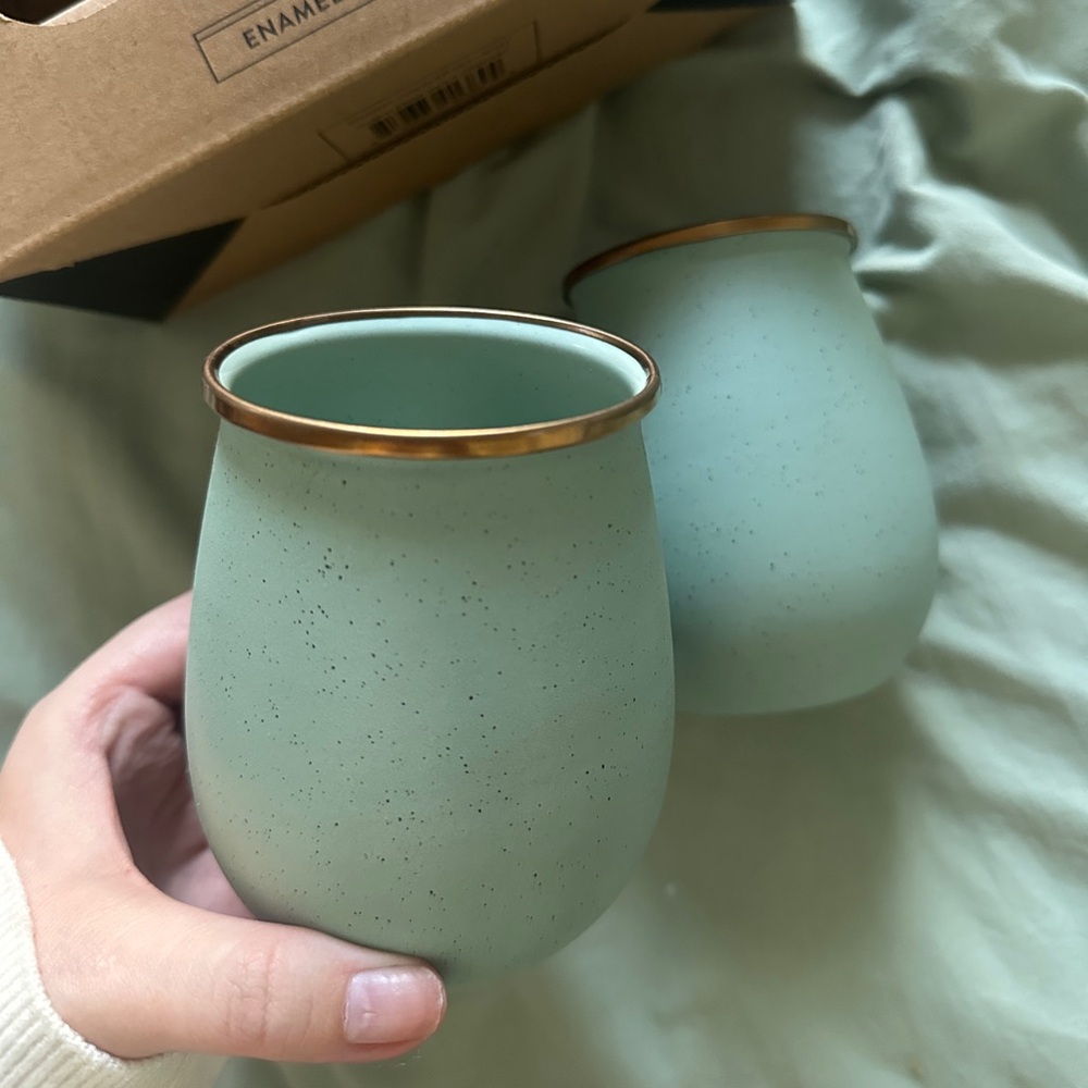 Barebones Enamel Travel Tumbler Set - Light/Sage Green